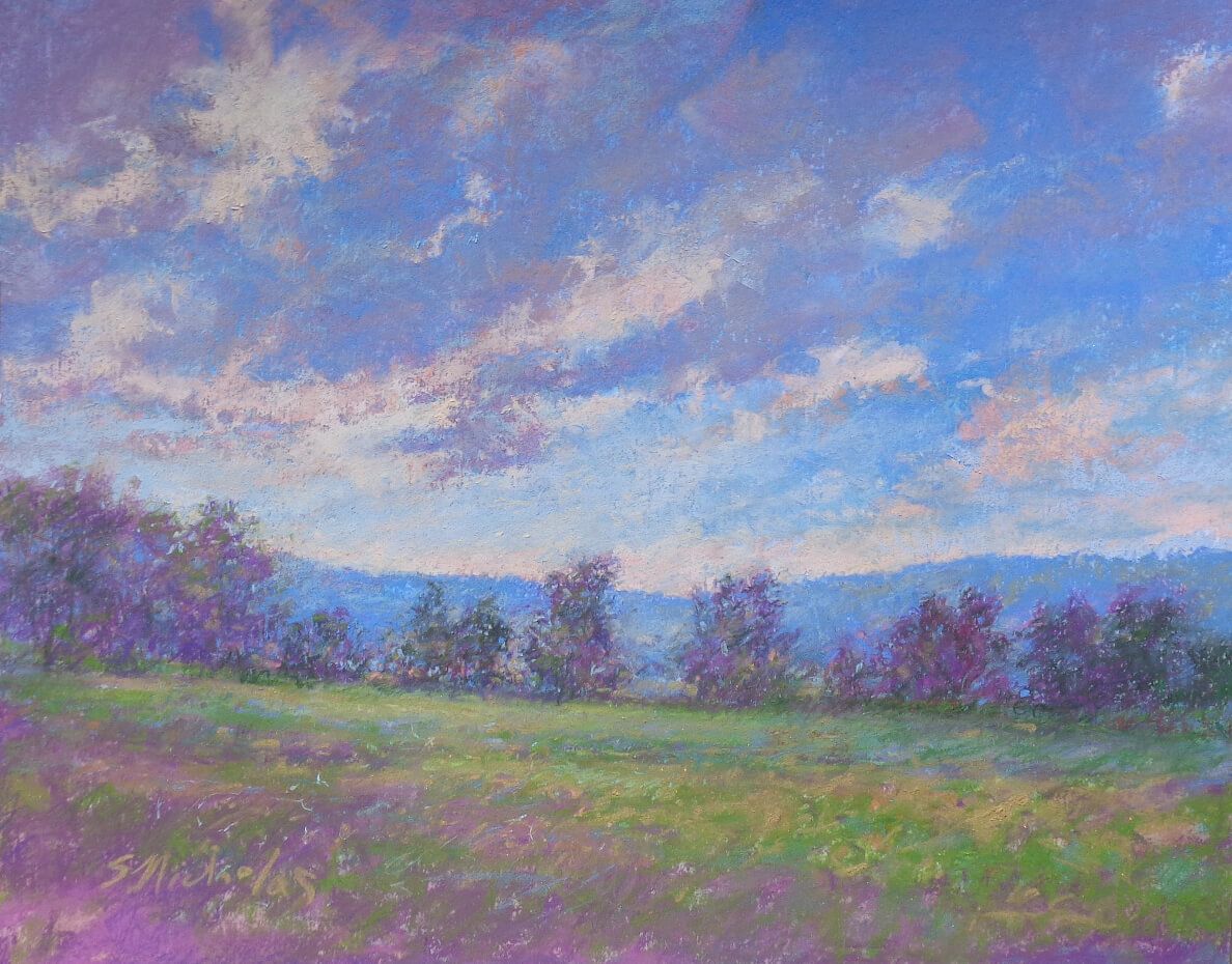 Susan Nicholas Gephart1